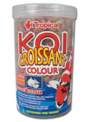 KOI CROISSANT COLOUR AJO  210 GR TP-42015