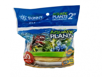 PLANTA IMPORTADA SUNNY SDP-02 VERDE 2 PULGADAS