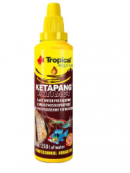 KETAPANG EXTRACT