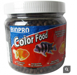 COLOR FOOD 4 MM. 1 LTO.