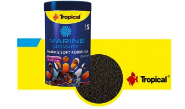 MARINE POWER PROBIOTIC 60 GR