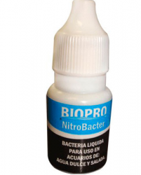 BACTERIA 10 ML BP9787