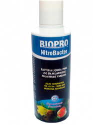 BACTERIA 250 ML. BP9790