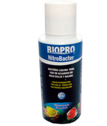 BACTERIA 125 ML. BP9789